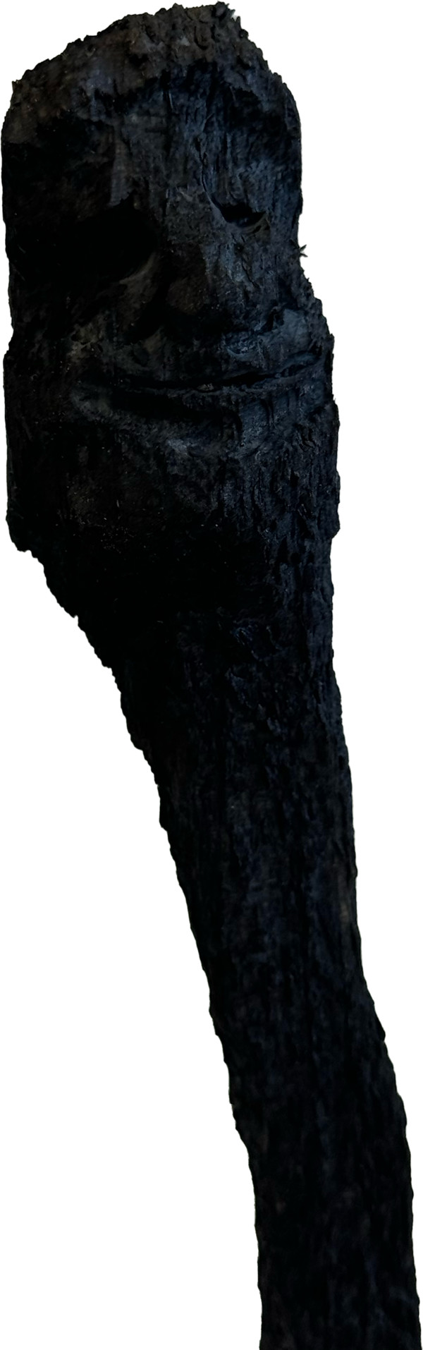 Züsli Nr. 78 by Daniel Züsli