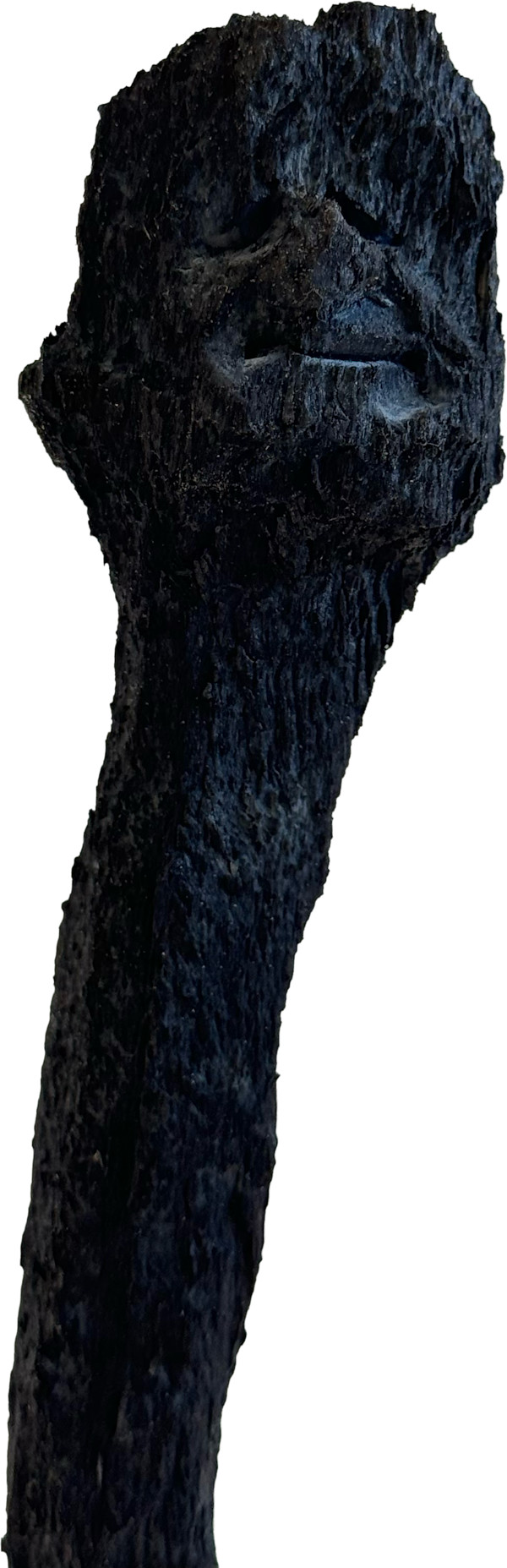 Züsli Nr. 80 by Daniel Züsli