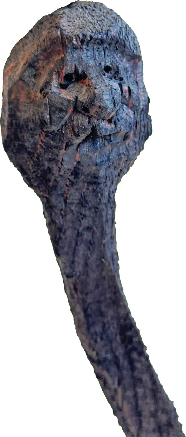Züsli Nr. 99 by Daniel Züsli