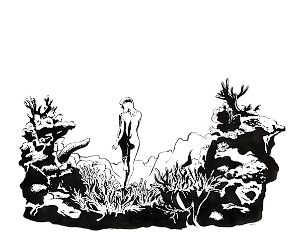 Venus Land by Marina Lutz