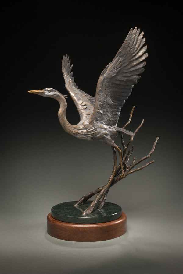 Great Blue Heron by Raymond Gibby