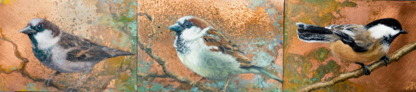 Three Little Birds, Image 1.