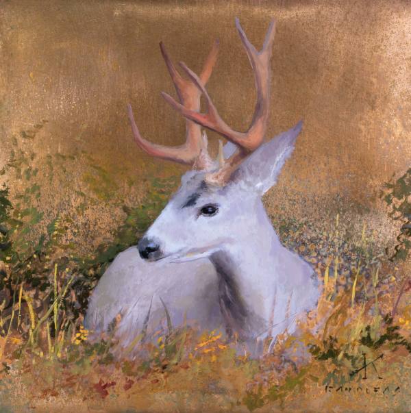 Afternoon Shelter by Kim Randleas, Image 1.