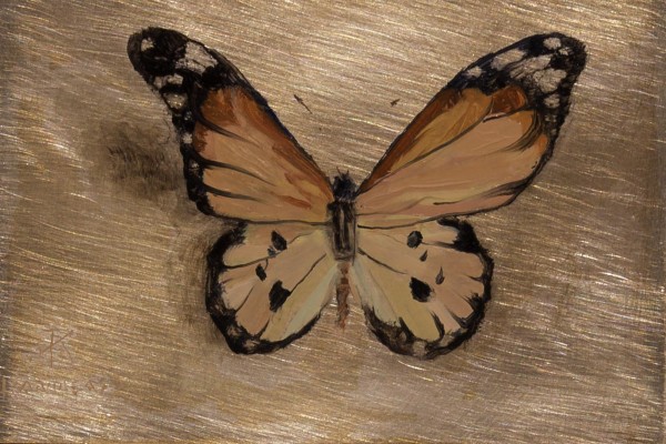 Tribute Butterfly #2 by Kim Randleas