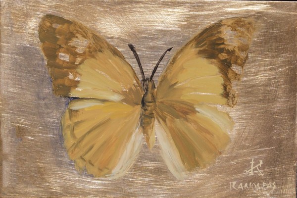 Tribute Butterfly #3 by Kim Randleas