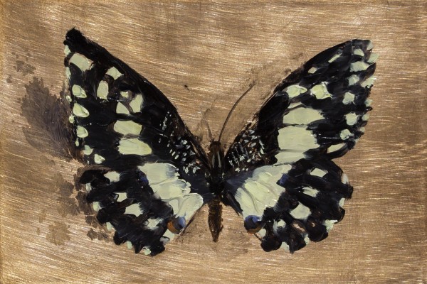 Tribute Butterfly #9 by Kim Randleas, Image 1.