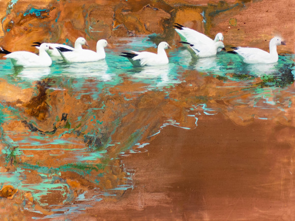 Lazy Sunday Afternoon by Kim Randleas, Image 1.