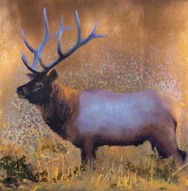 Morning Stillness by Kim Randleas, Image 1.