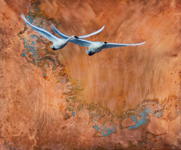 The Journey of the Swans by Kim Randleas, Image 1.
