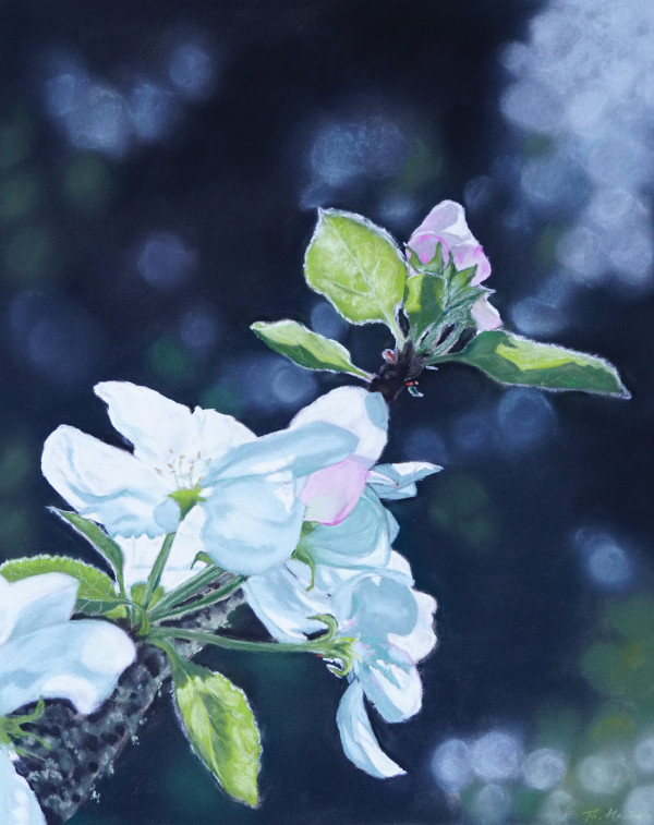 Apfelblüte by Thea Herzig