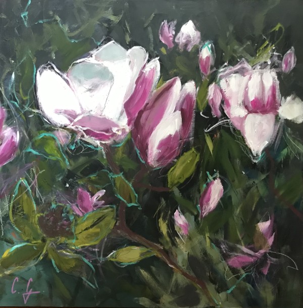 Magnolias by Catherine Garrod