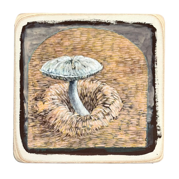 Backyard Mushroom by Layla Luna