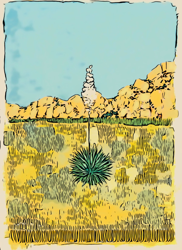 Yucca Poster by Layla Luna