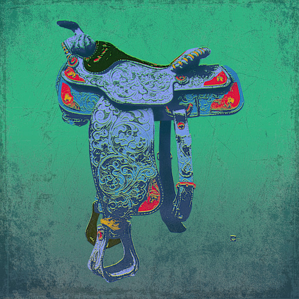 Warholy-O- Rodeo Series #3 by Marshall Harris