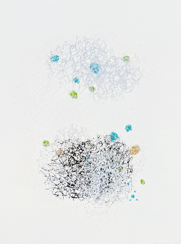 Untitled webs by Clare Winslow