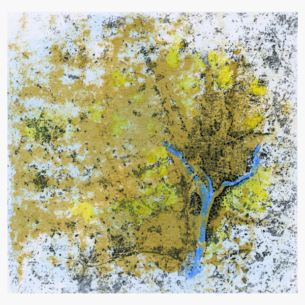 Topo DC #4 by Clare Winslow
