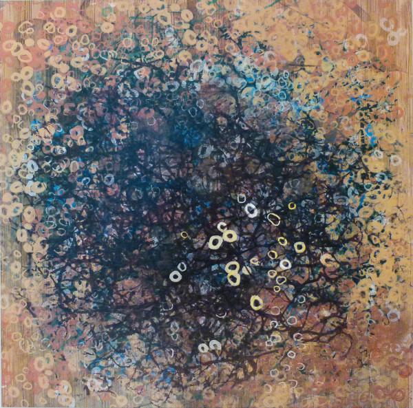 Web,Dark by Clare Winslow