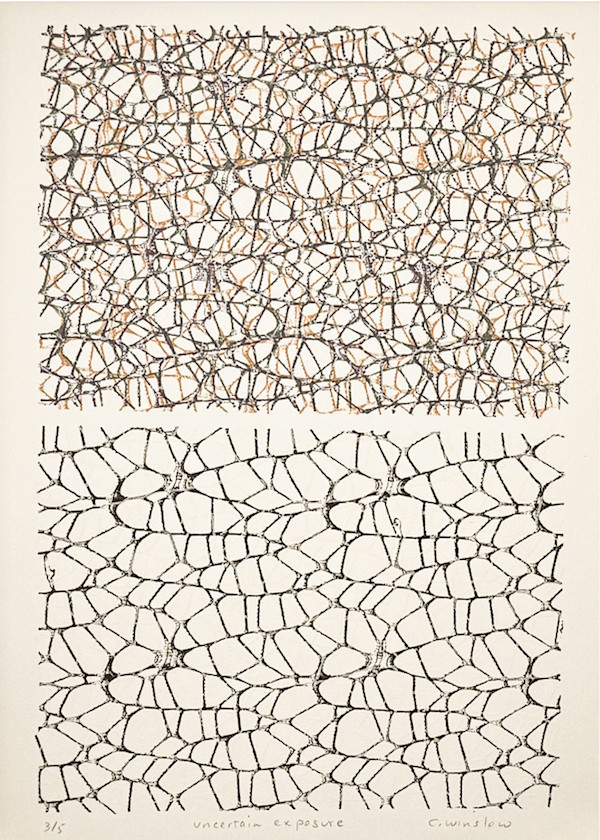 Uncertain exposures #2 by Clare Winslow