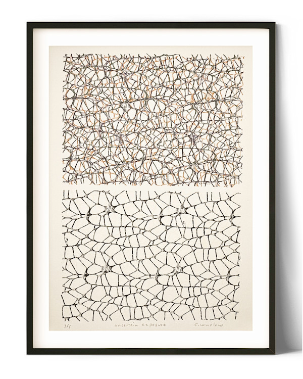 Uncertain exposures by Clare Winslow