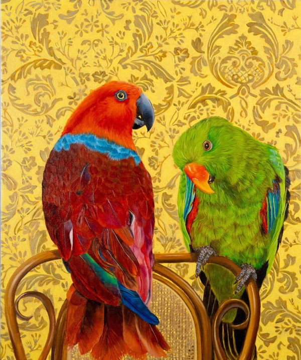 Opposites attract – Eclectus Parrot by Fiona Smith