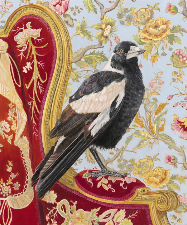 Titan - Magpie on a Rothschild's chair by Fiona Smith