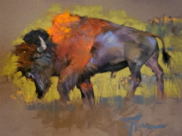 Lamar Valley Bison, Yellowstone by Jennifer Evenhus