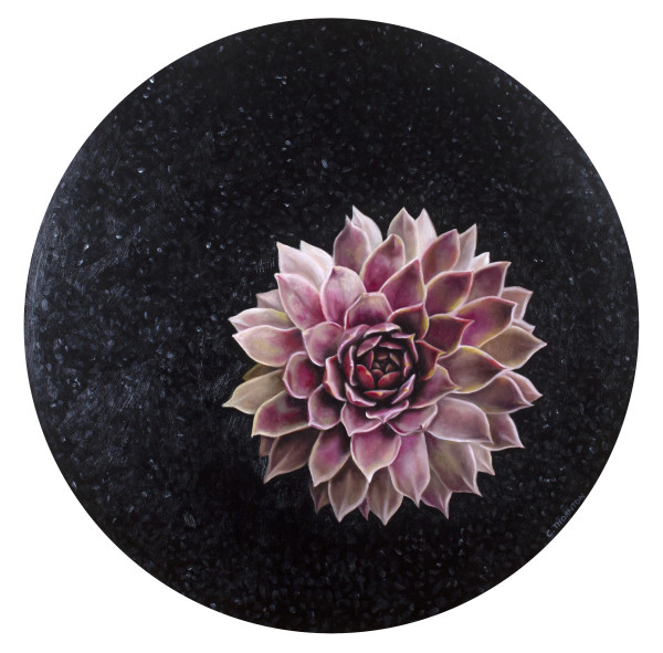 Succulent Study #6 by Casey Thornton