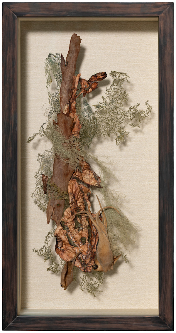 Spanish Podcast by Fisher Carla