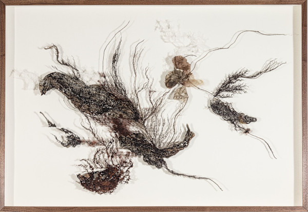 In A Barkly Manner by Fisher Carla