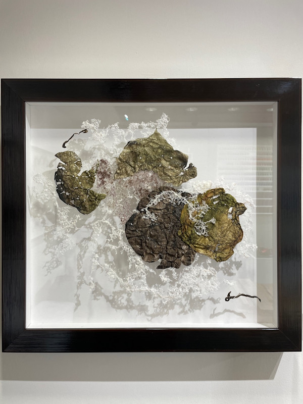 FunGi That You Are by Fisher Carla