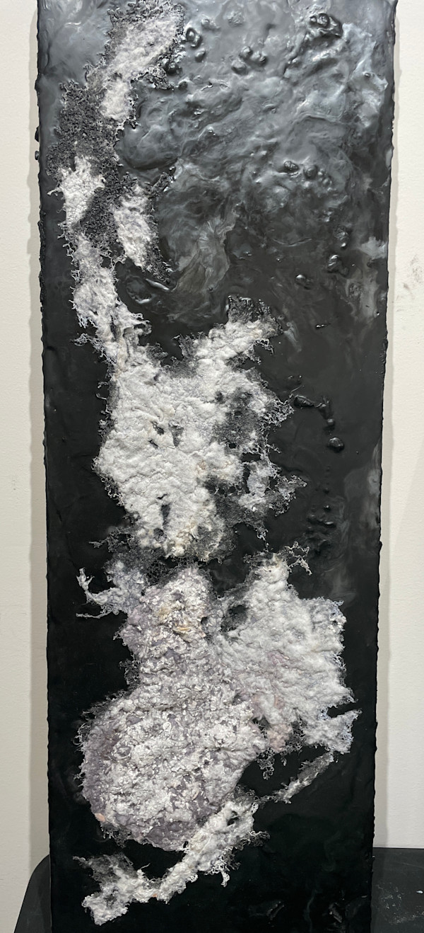 Cosmic Lint by Fisher Carla