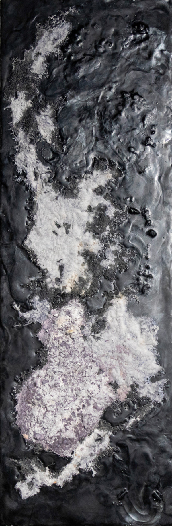 Cosmic Lint by Fisher Carla, Image 1.