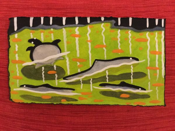 A Turtle and Some Fish in the Canal. #1057