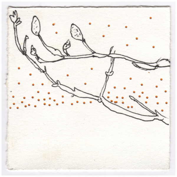 The Star Magnolia and the Lilac Today -- in January. #027