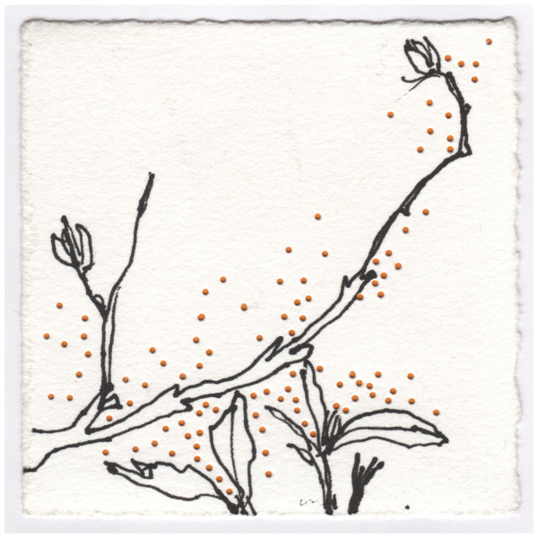 The Southern Hemisphere Under the Full Moon. #024