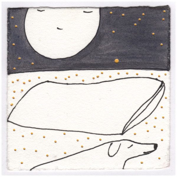 The Full Moon on my Pillow Tonight. Orion's Belt Points to Sirius. #032