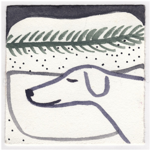 Snow Still on the Branch. #043