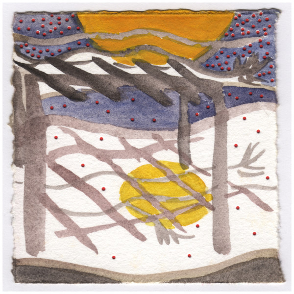 Wisteria Shadows in the Moon Light in my Backyard. #063