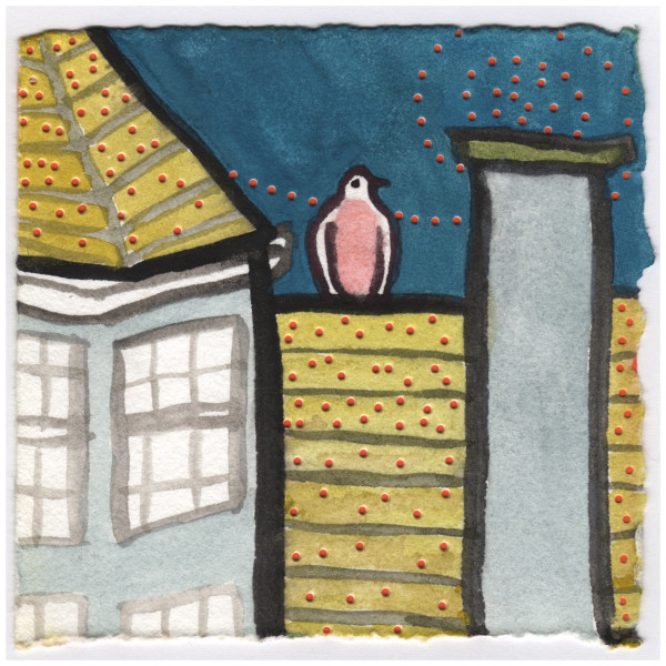 A Dove on the Roof. #071