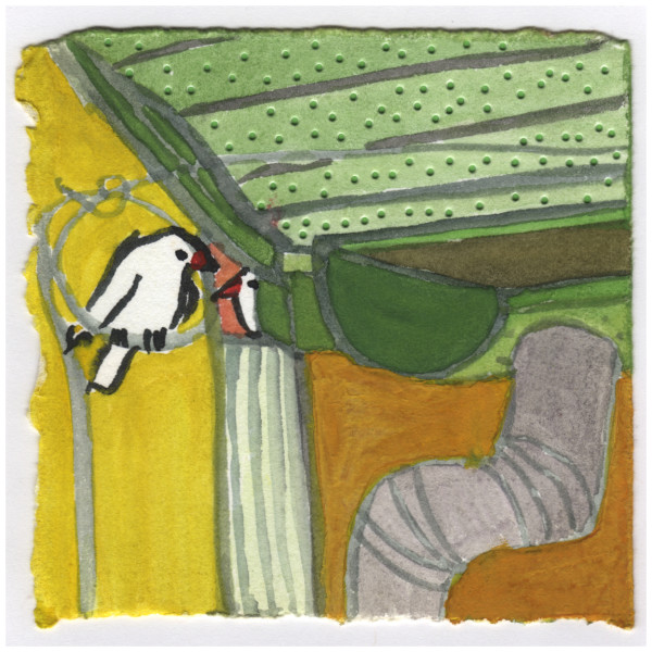 Nesting in my Neighbors' Roof. #077