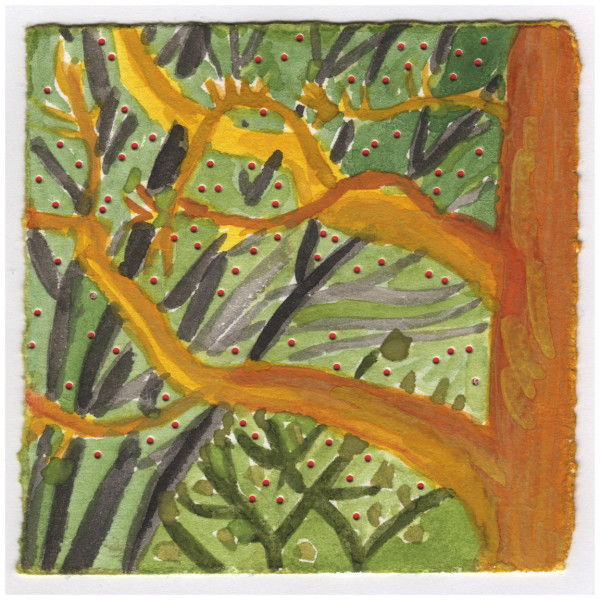 The Sweet Gum in the Sun Light. #078