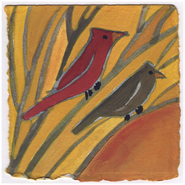 The Cardinals in the Mock Orange Today. #102