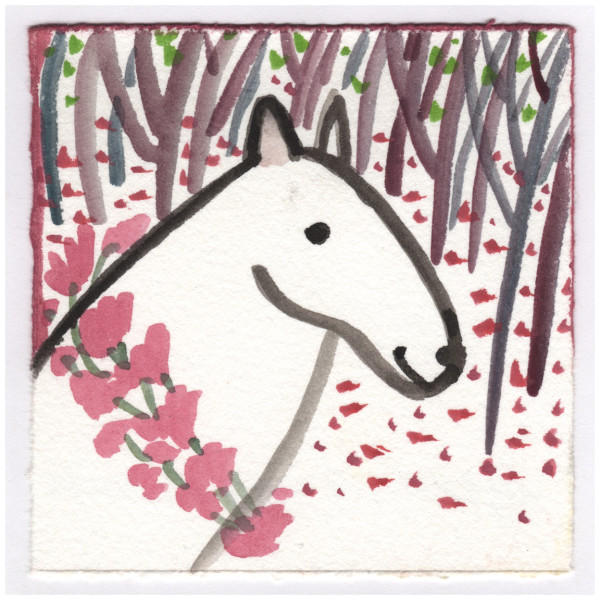 For Beautiful Alicia. #112