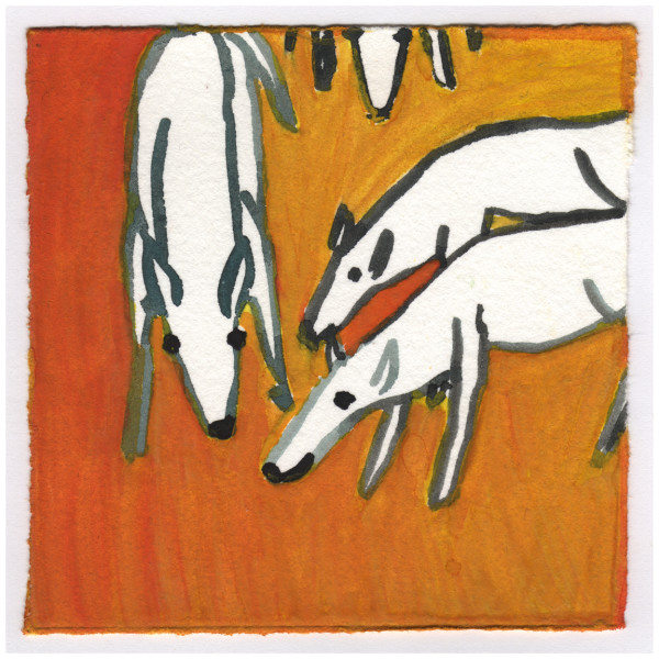 Deer in the Woods. #115