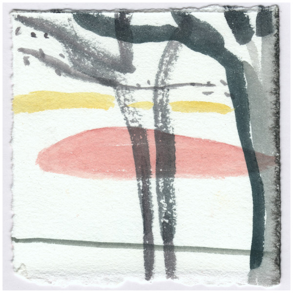 Sunrise Cloud and the Sycamores. #131