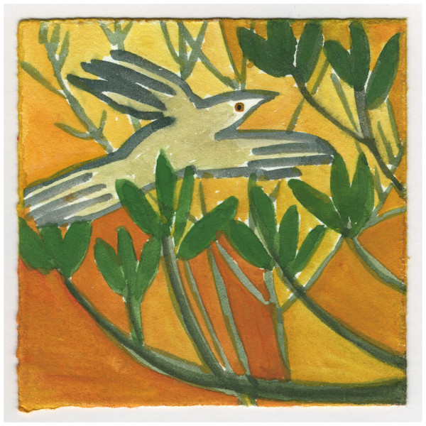 Grackle and the Magnolia. #147