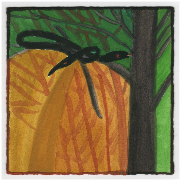 The Snake Up in a Tree. #172