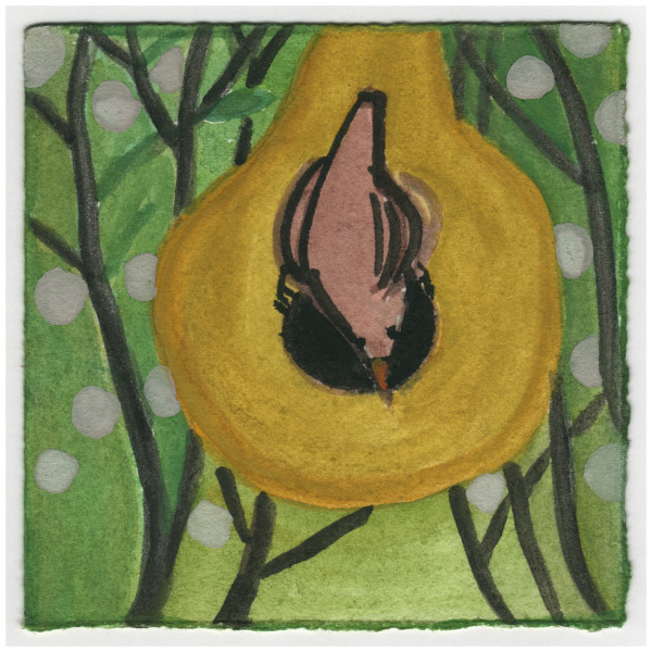 The Wren on the Gourd. Roses all Around. #173