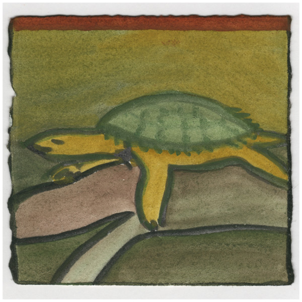 A Snapping Turtle on the Canal. Lounging. #174