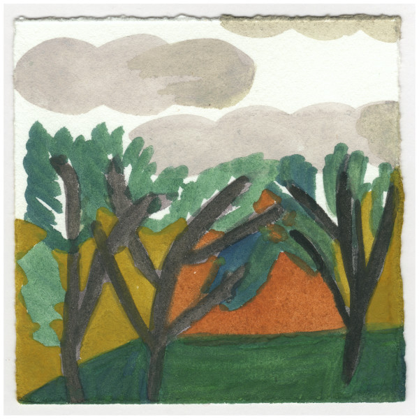 The Arbor Vitaes Have More Space. #186